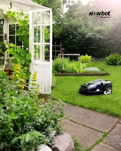 Top-rated yard cleanup service for beautiful yards across Holly Springs, NC - Mowbot Of Southern Wake County