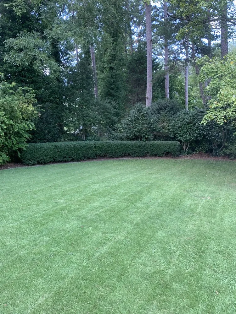 Affordable outdoor landscaping for homes across Woodstock, GA - MowBro