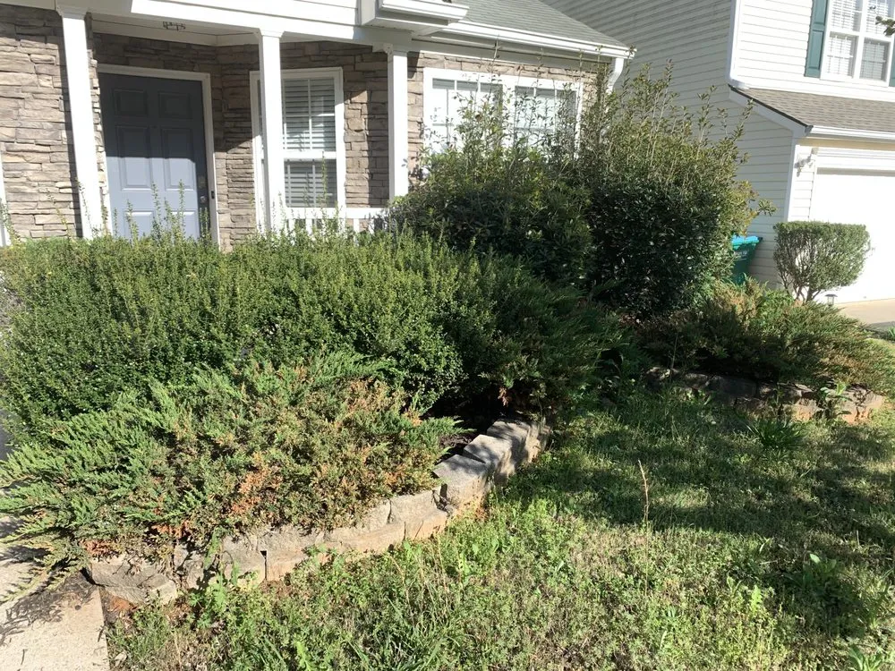 Professional yard cleanup service with custom design in Woodstock, GA by MowBro