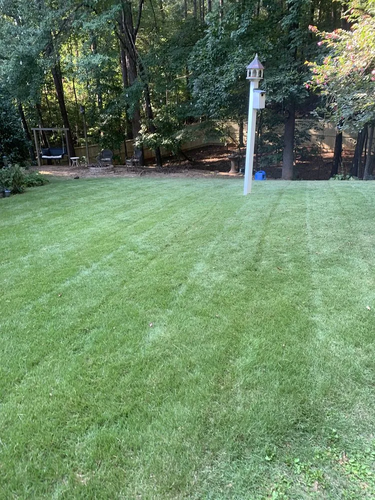 Trusted yard cleanup service for residential properties in Woodstock, GA by MowBro