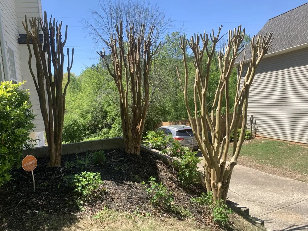 Custom lawn mowing service in Woodstock, GA - MowBro