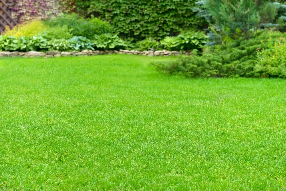 Professional garden landscaping near you in Mt. Juliet, TN by MowBros