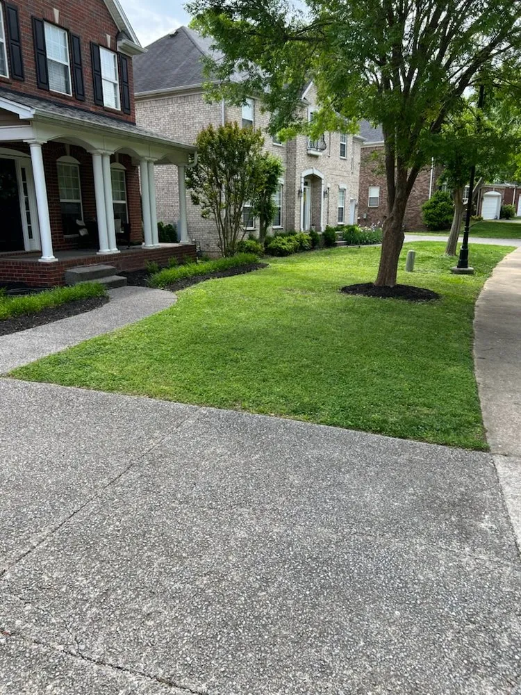 Expert yard maintenance experts serving Mt. Juliet, TN - MowBros