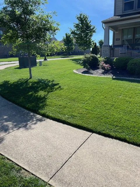 Professional outdoor landscaping in Mt. Juliet, TN - MowBros