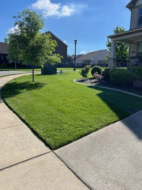 Affordable outdoor landscaping for beautiful yards in Mt. Juliet, TN by MowBros