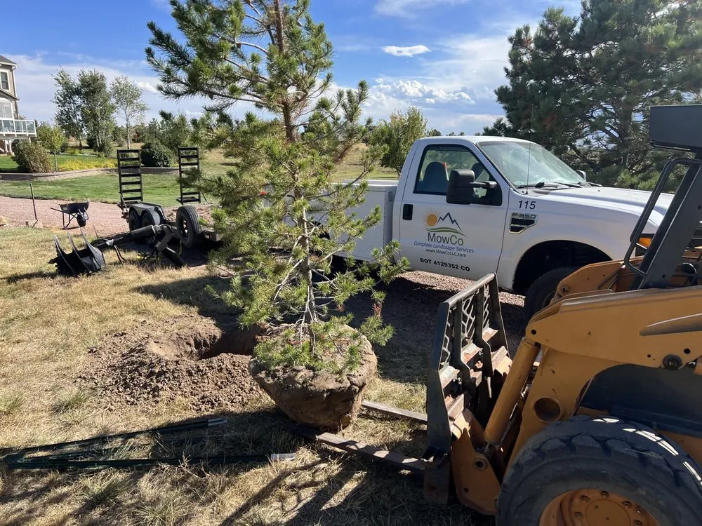 Reliable landscaping services in Peyton, CO - MowCo