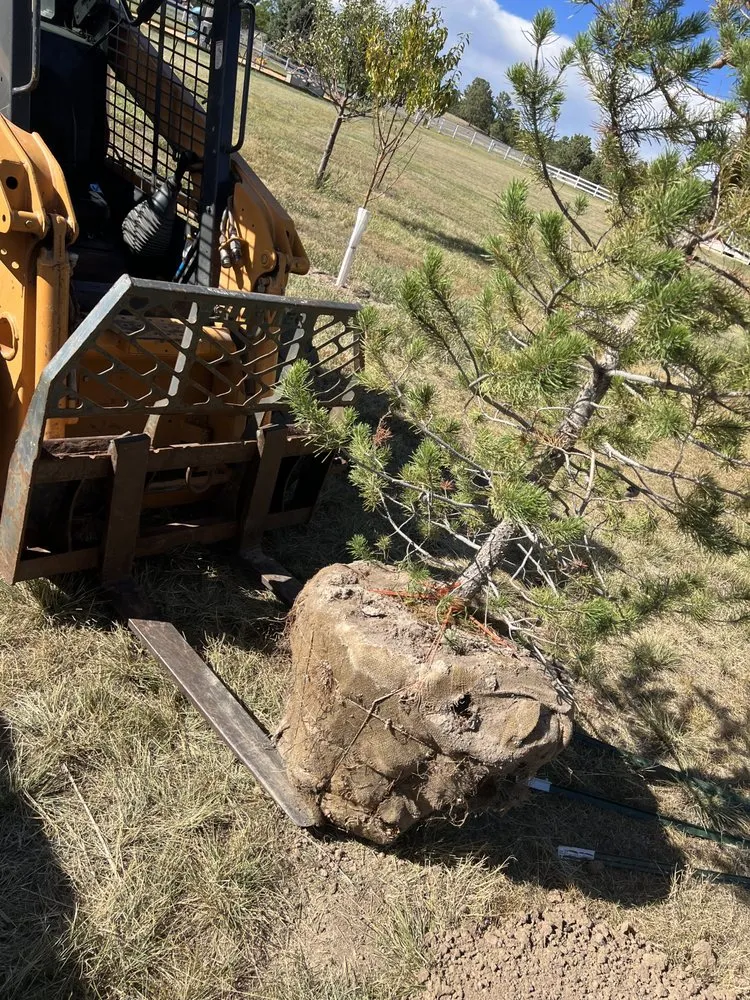 Local residential landscaping for homes in Peyton, CO by MowCo
