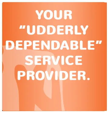 Affordable outdoor landscaping for beautiful yards across Fairfax Station, VA - MowCow Lawn & Landscape