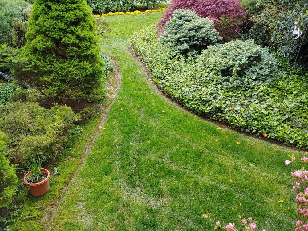 Expert landscaping services for beautiful yards across Fairfax Station, VA - MowCow Lawn & Landscape
