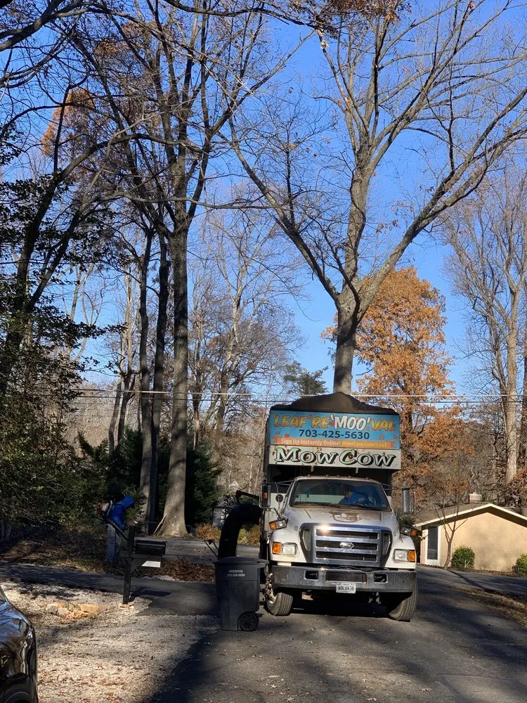 Trusted lawn care service experts serving Fairfax Station, VA - MowCow Lawn & Landscape