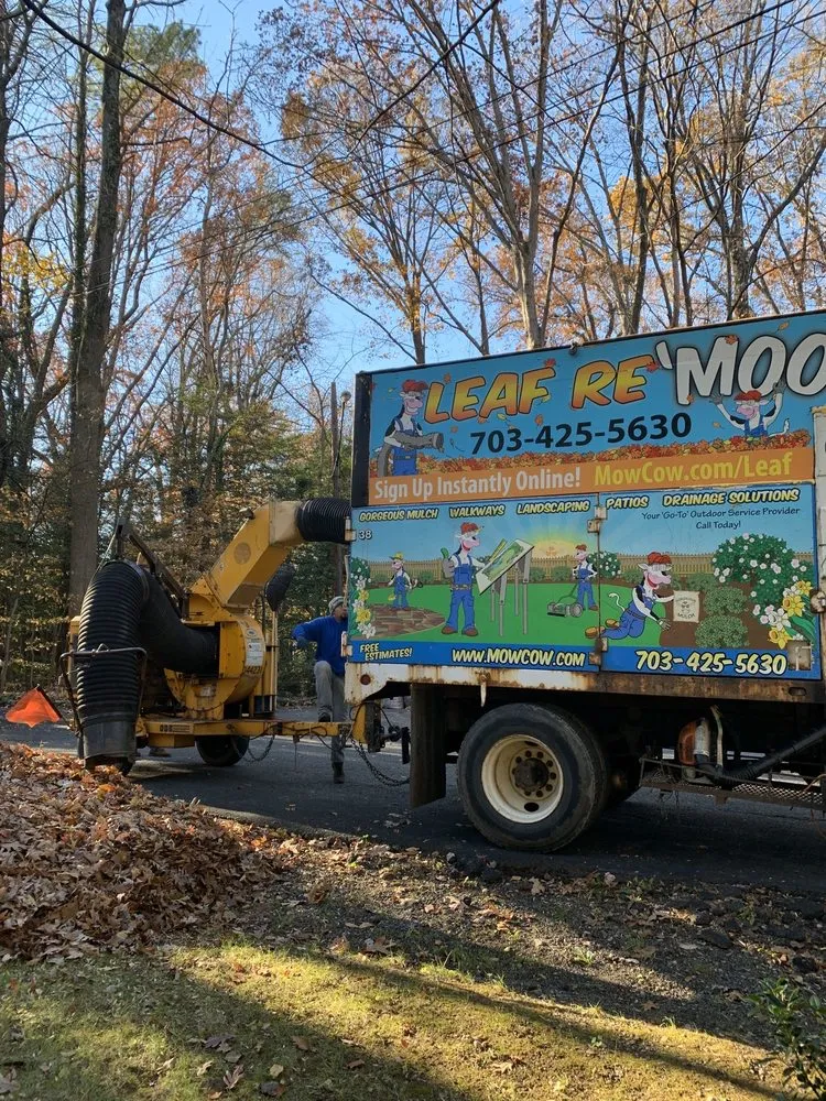 Affordable residential landscaping experts serving Fairfax Station, VA - MowCow Lawn & Landscape