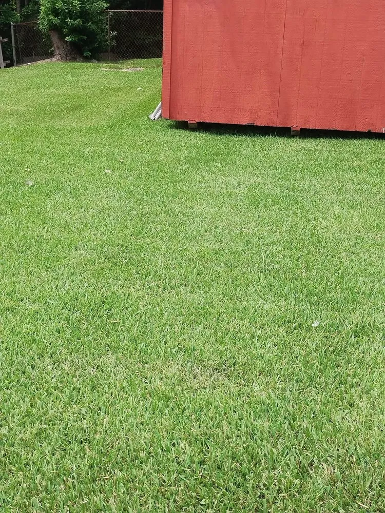 Expert lawn care service for beautiful yards across Chesapeake, VA - Mow’d By Monica