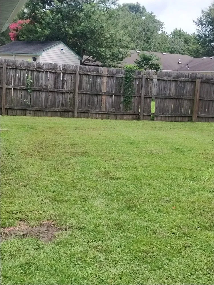 Reliable yard cleanup service experts serving Chesapeake, VA - Mow’d By Monica