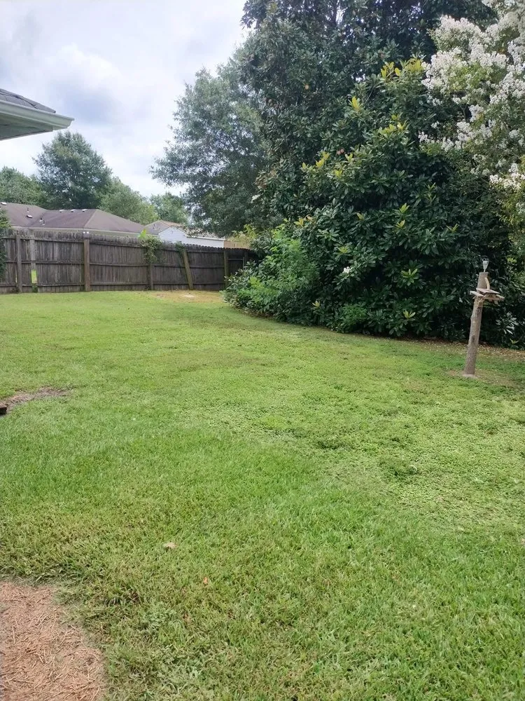 Top-rated landscape design in Chesapeake, VA by Mow’d By Monica