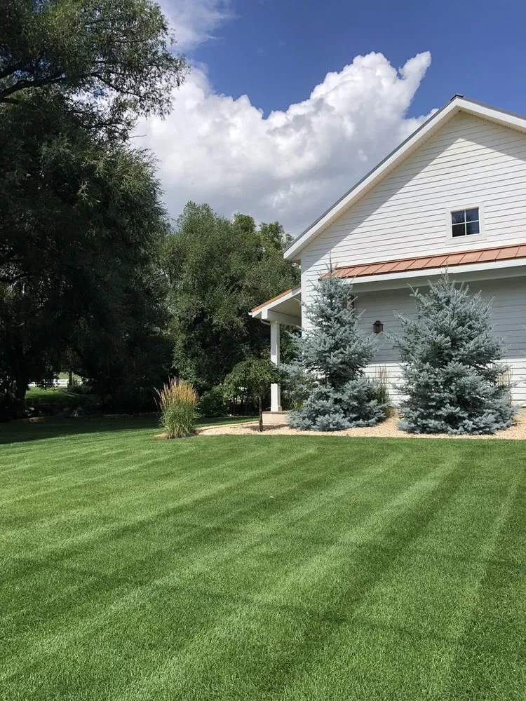 Affordable landscape design experts serving Provo, UT - Mowd Services