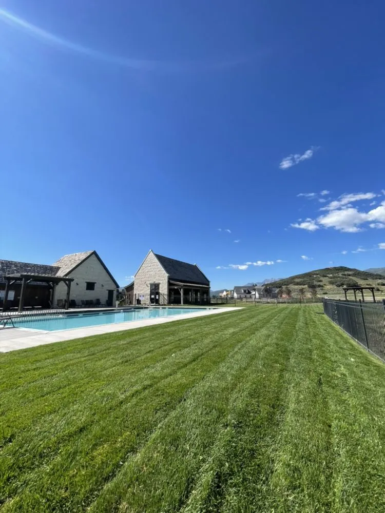 Reliable lawn care service experts serving Provo, UT - Mowd Services