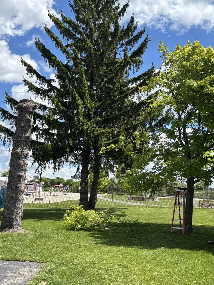 Trusted lawn care service for outdoor upgrades in Neenah, WI by Mowdavated Manny Lawn Care