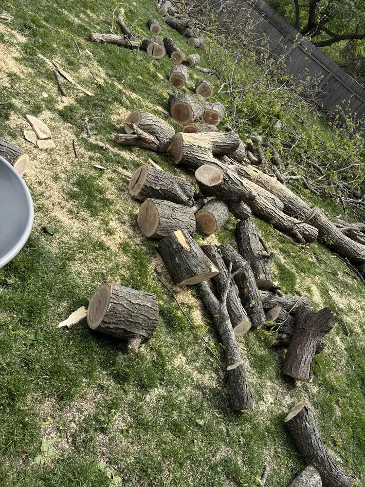 Trusted garden landscaping for homes in Neenah, WI by Mowdavated Manny Lawn Care