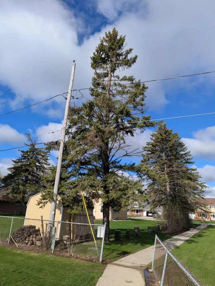 Affordable landscape installation in Neenah, WI - Mowdavated Manny Lawn Care