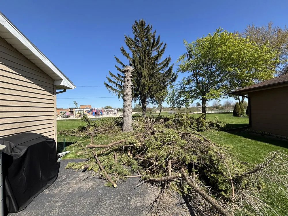 Professional lawn mowing service experts serving Neenah, WI - Mowdavated Manny Lawn Care