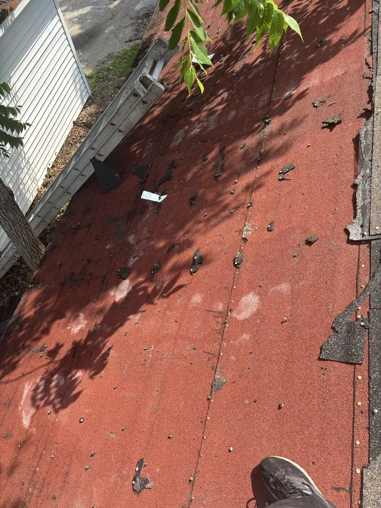 Expert yard cleanup service in Neenah, WI by Mowdavated Manny Lawn Care