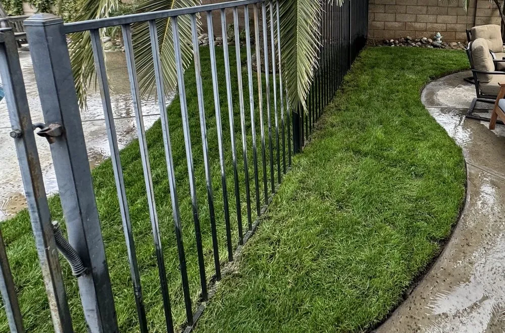 Professional residential landscaping for beautiful yards in Turlock, CA by MowEdge Landscaping