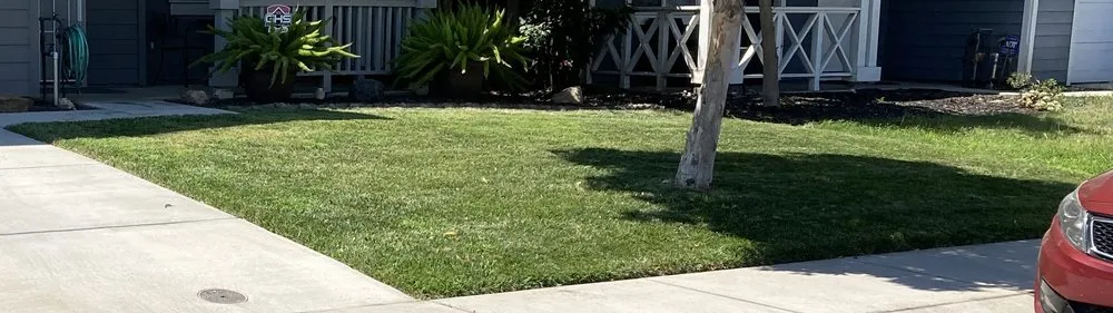 Local lawn mowing service in Turlock, CA - MowEdge Landscaping