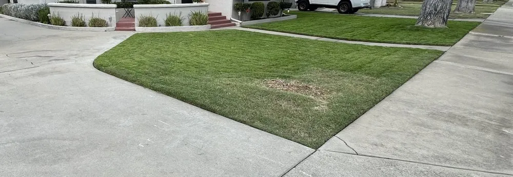 Top-rated lawn care service in Turlock, CA by MowEdge Landscaping