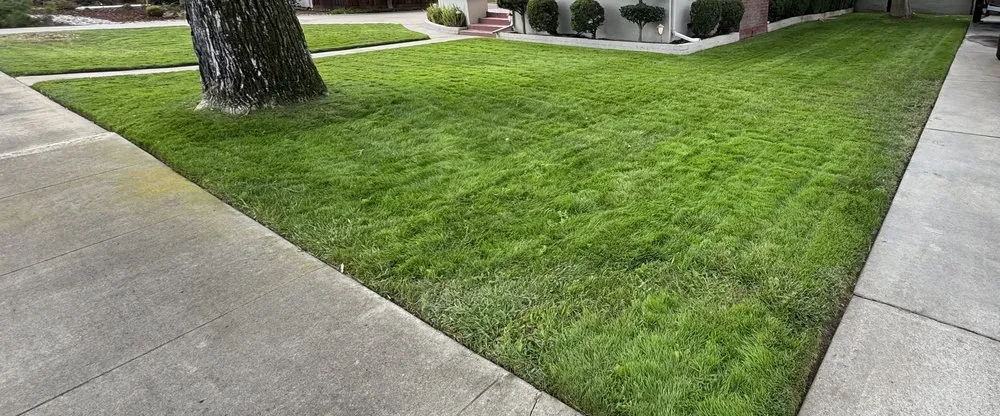 Local landscape design for residential properties across Turlock, CA - MowEdge Landscaping