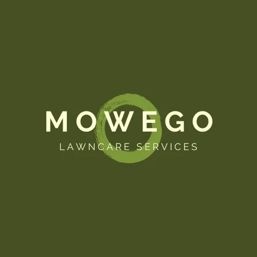 Expert yard cleanup service in San Antonio, TX by Mowego Lawn Care