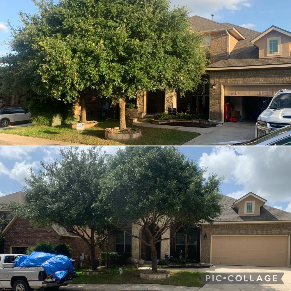 Custom yard maintenance with custom design across San Antonio, TX - Mowego Lawn Care