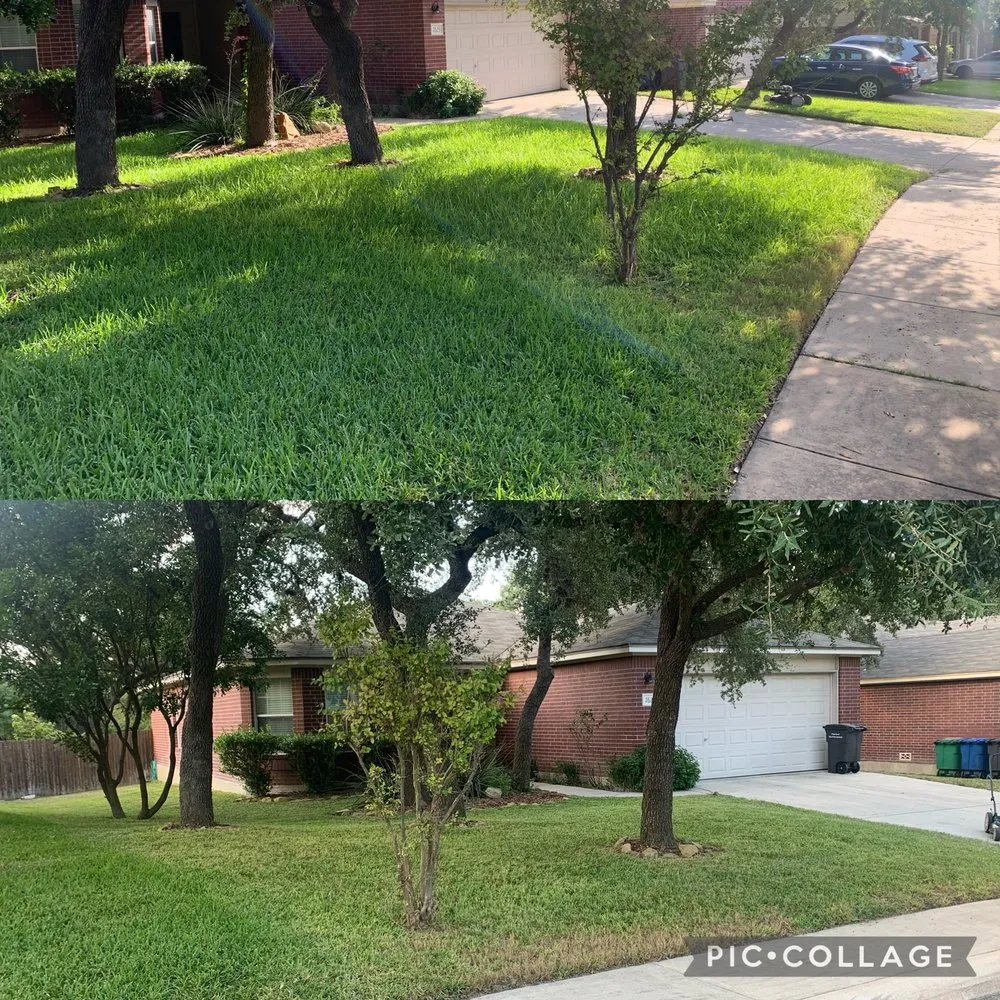 Trusted landscaping services in San Antonio, TX by Mowego Lawn Care