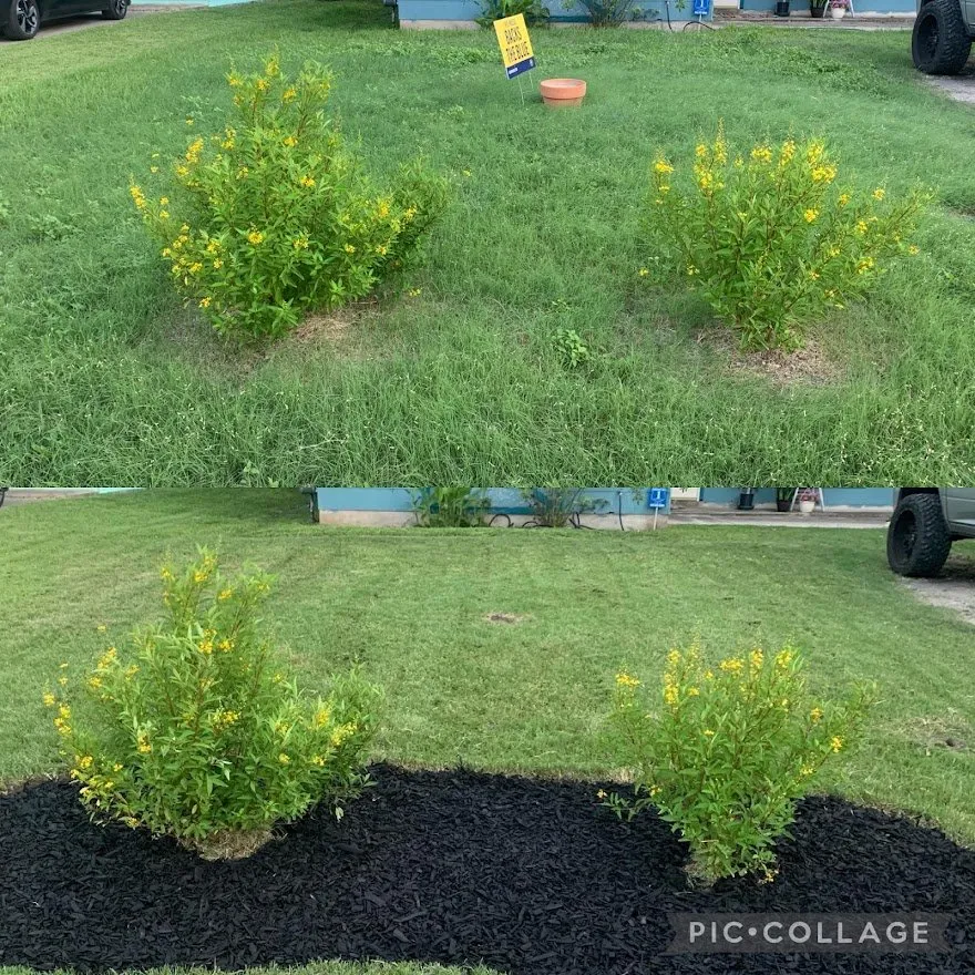 Reliable landscaping services for outdoor upgrades across San Antonio, TX - Mowego Lawn Care