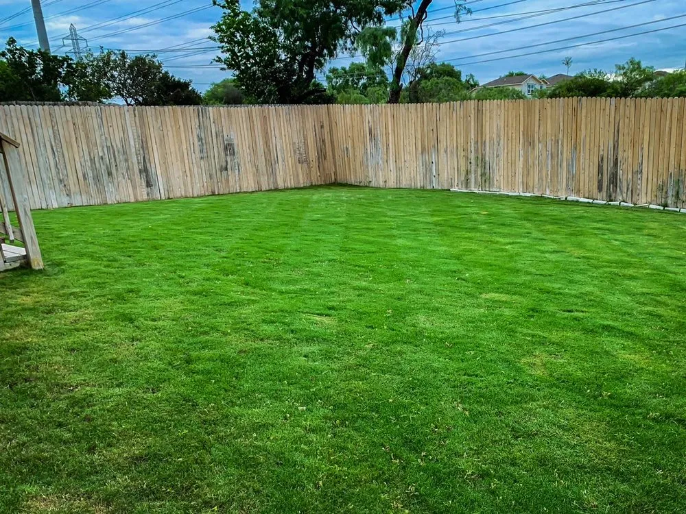 Reliable yard cleanup service in San Antonio, TX by Mowego Lawn Care