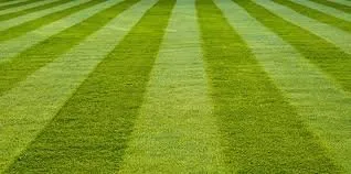 Affordable landscaping services in Dayton, OH - Mowem Down Lawnz