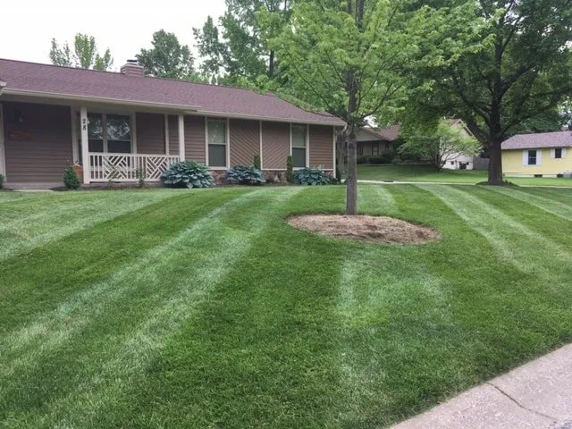 Local residential landscaping in Dayton, OH by Mowem Down Lawnz