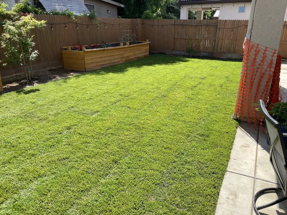 Reliable residential landscaping in Fresno, CA by Mower King