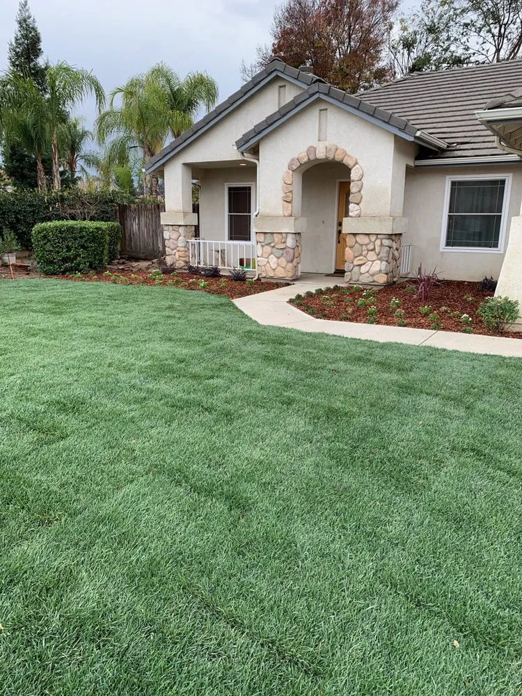 Reliable yard cleanup service in Fresno, CA - Mower King