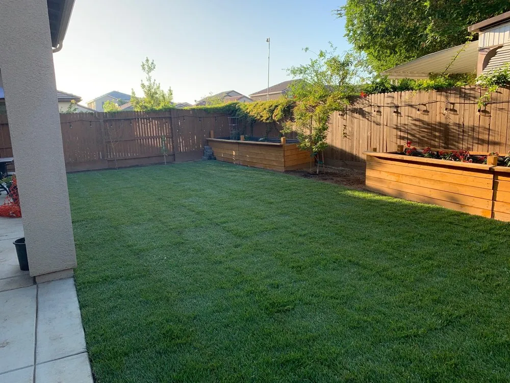 Affordable lawn care service experts serving Fresno, CA - Mower King