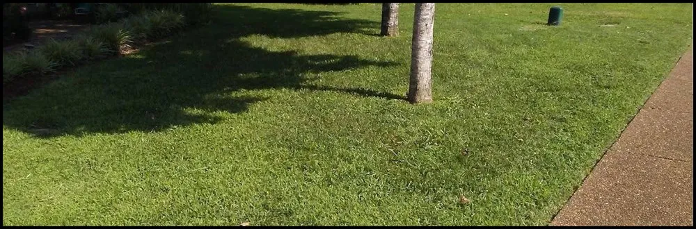 Expert residential landscaping with custom design in Columbia, TN by Mower Lawn and Landscape