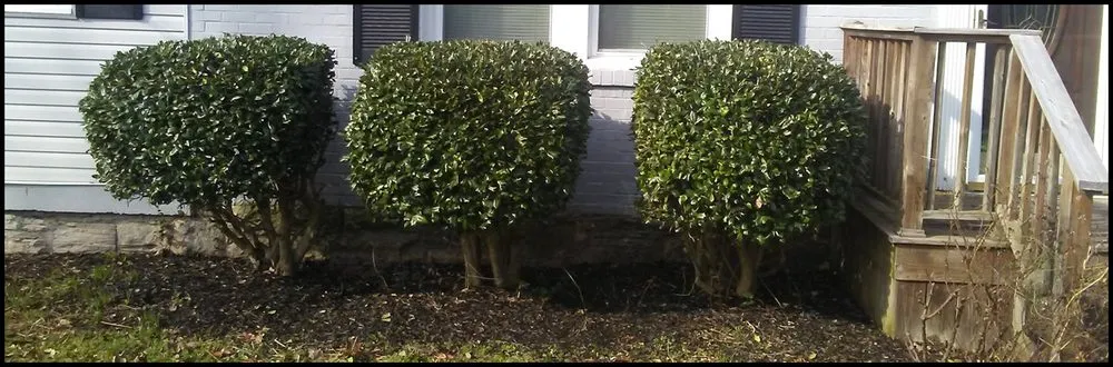 Affordable yard cleanup service experts serving Columbia, TN - Mower Lawn and Landscape