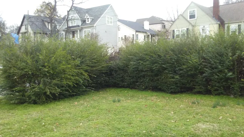 Top-rated lawn mowing service for beautiful yards across Columbia, TN - Mower Lawn and Landscape