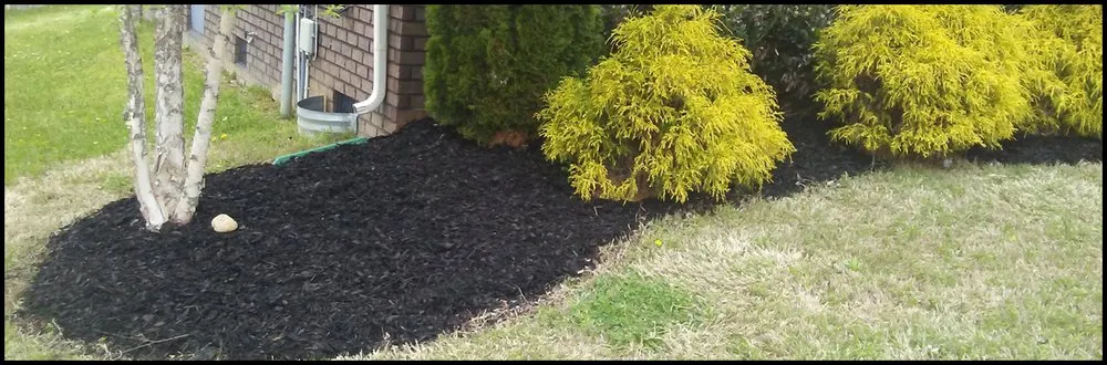 Local lawn care service experts serving Columbia, TN - Mower Lawn and Landscape