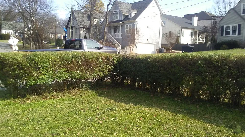 Top-rated lawn care service in Columbia, TN - Mower Lawn and Landscape