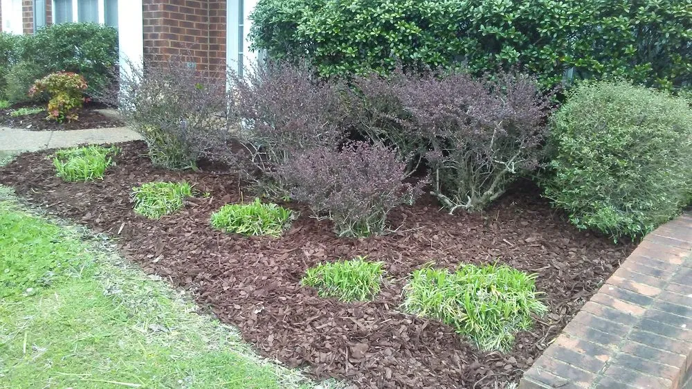 Professional residential landscaping in Columbia, TN by Mower Lawn and Landscape