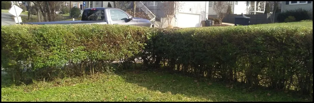 Top-rated garden landscaping experts serving Columbia, TN - Mower Lawn and Landscape