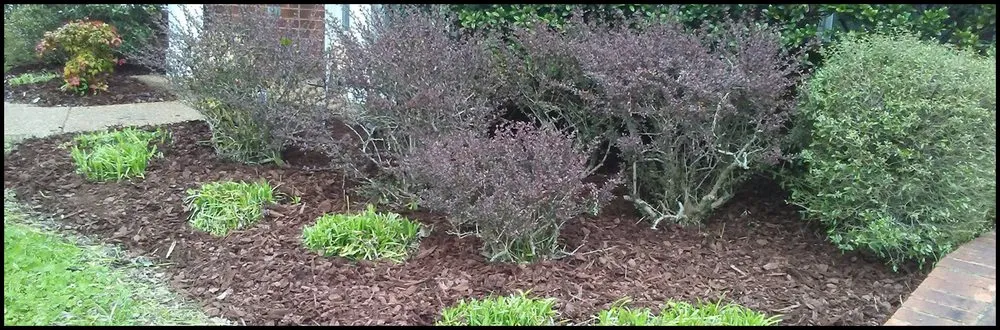 Local yard maintenance in Columbia, TN - Mower Lawn and Landscape