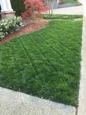 Mower Magic