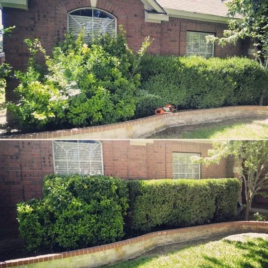 Professional yard maintenance in McKinney, TX - Mower Man Lawn Service