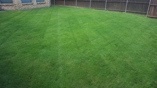 Trusted lawn mowing service in McKinney, TX by Mower Man Lawn Service